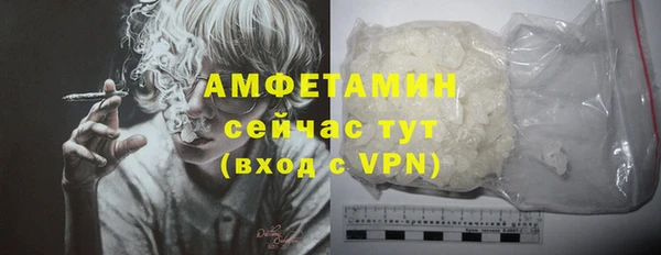 хмурый Арсеньев