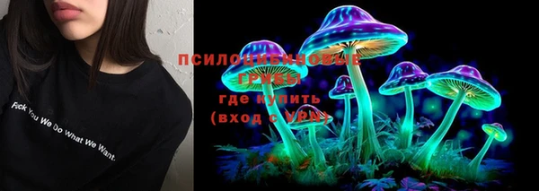 хмурый Арсеньев