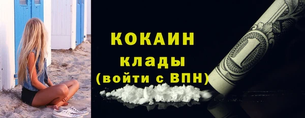 хмурый Арсеньев