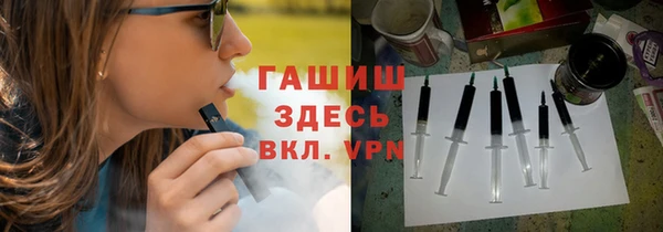 хмурый Арсеньев