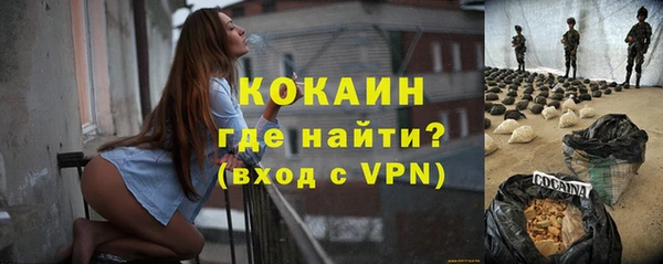 хмурый Арсеньев