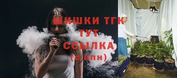 хмурый Арсеньев