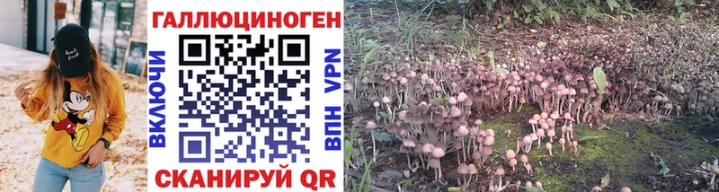 Галлюциногенные грибы Cubensis  наркотики  hydra как зайти  Семикаракорск 